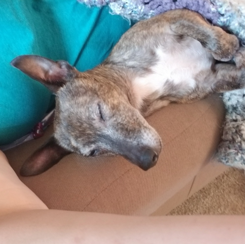 Meet your Posher, Cindy